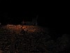 52. Dan star watching at 8000 feet...15 sec exposure, panning flashlight for light..jpg
