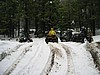 11. YES! Playing in the snow. Jack, Larry, Miren and Terry..jpg