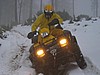 23. Larry falls into the rut..jpg