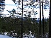 18. Killer day..jpg
