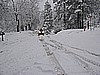 27. Dusty coming up to the intersection near Malakoff..jpg