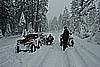 39. In the middle of the road..jpg