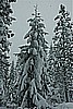 41. Here they come...Larry 'Ansel Adams'..jpg