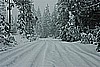 42. While Larry checks out the pretty road..jpg