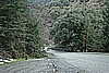 48. Larry...It's a road..LOL..jpg