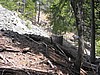 42. Larry comes down the steep hill..jpg