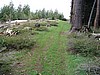 63. The other Grassy knoll..jpg