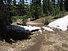 35. Here's where Terry and I winched on 10 feet of snow just 3 weeks ago..jpg