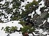 51. Terry and Dusty coming up the hill.jpg