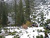 52. Nice shot looking back at Fordyce River.jpg