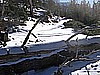 020. Oops.  Big Log Down..jpg