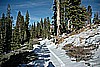 021. Larry blazes a small trail around it and waits..jpg