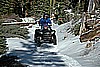 026. Dusty has the rear...a familiar Chico position..jpg