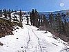 027. Larry takes off, leaving his tracks..jpg