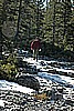 063. 'Prospecting'.jpg