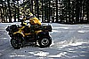 075. At the Fordyce-Committee intersection Ken decides to play in the snow..jpg