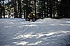 080. Nothing makes a day like a rooster tail..jpg
