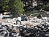 050. Then they had to come up the hill..jpg