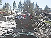 062. Larry went whoopsie!.jpg