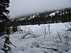 08. Looking out onto Miller Lake..jpg