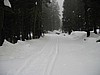 18. Goal is in our site.  7 miles and 2+ hours..jpg