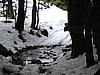 50. Dan crosses WATER...back on to SNOW...it's incredibly diverse terrain..ha..jpg