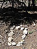 18. A small baby's grave..jpg