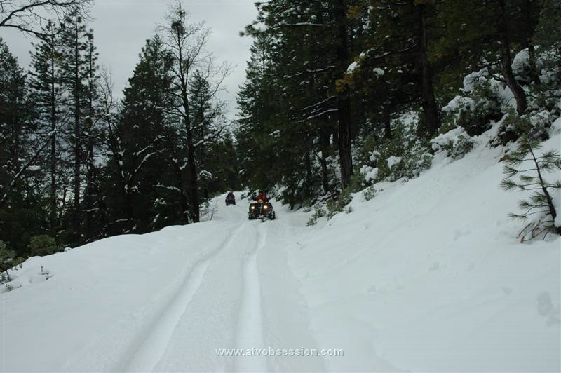 07. Mr. Bill Cruising through the Fresh Snow..jpg