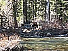 16. Dusty blazes across the 2nd water crossing..check out the video..jpg