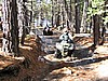 036. Lots of snow melt through this area..jpg