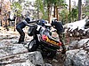 067. Then does another wheelie..jpg