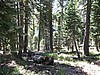 08. Snake Lake through the trees..jpg