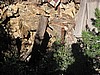 22. Mining ruins..jpg