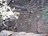 25. An old saw down in the hole..jpg