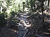 59. I tried to take this path to a road on the GPS...I ended up crashing coming back up..jpg