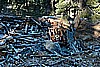 13. An old Winch House, not Wench, Mr Bill..jpg