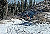 19. Crash races Teri as they reach the Top of Pilot Peak..jpg