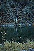 32. Feather River..jpg