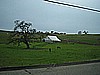 38. Everything is green this time of year..jpg