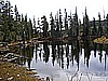 043. Another small pond...but no fish seen..jpg