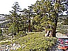 046. The trail down to Winch Hill 5..jpg