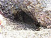 051. Excelsior Mine..jpg