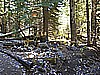 136. The grave sites..jpg