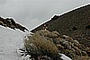044. Mr. Bill Sets Anchor And Pulls Larry's Quad Back Up The Hill..jpg