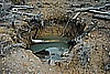 086. And Tasty Domestic Water Supply..jpg