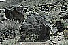 097. Petroglyphs Fill A Canyon..jpg