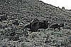 099. Out Toward.....jpg