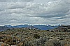 100. The Edge Of The Toyabi National Forest..jpg