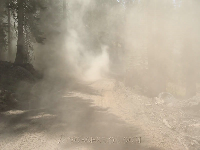 063. DUSTY!.jpg