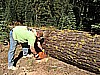 031. So a little cut...and..jpg